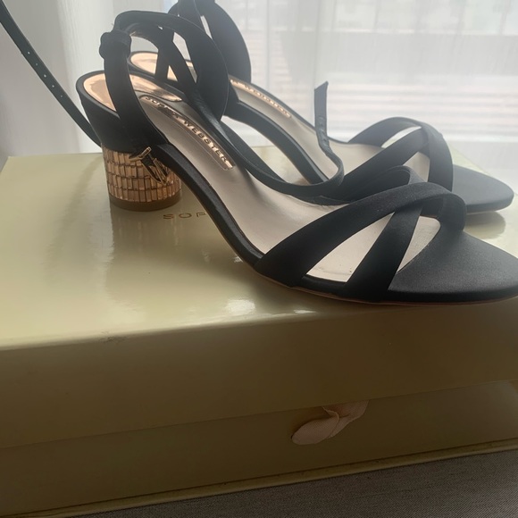 Sophia Webster Elegant satin low heel sandal - Picture 8 of 9